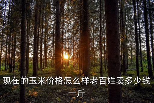 現(xiàn)在的玉米價(jià)格怎么樣老百姓賣(mài)多少錢(qián)一斤