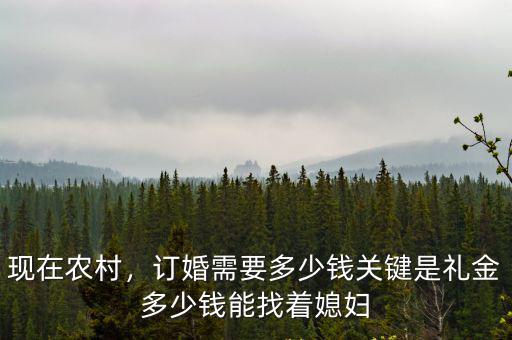 現在農村，訂婚需要多少錢關鍵是禮金多少錢能找著媳婦