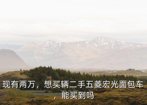 現有兩萬，想買輛二手五菱宏光面包車，能買到嗎
