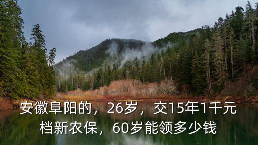 安徽阜陽(yáng)的，26歲，交15年1千元檔新農(nóng)保，60歲能領(lǐng)多少錢(qián)