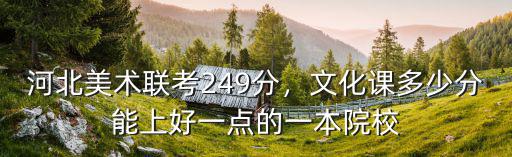 河北美術聯考249分，文化課多少分能上好一點的一本院校