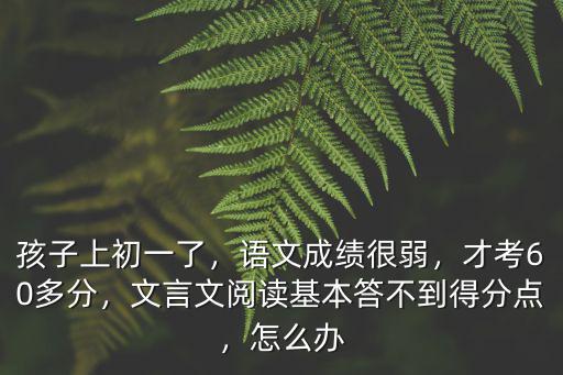 孩子上初一了，語文成績很弱，才考60多分，文言文閱讀基本答不到得分點，怎么辦
