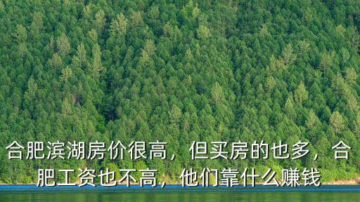 合肥濱湖溫泉投資多少錢,合肥房價會多少錢一平
