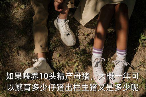 衡水能繁育母豬養(yǎng)殖多少,現(xiàn)在養(yǎng)殖母豬前景如何