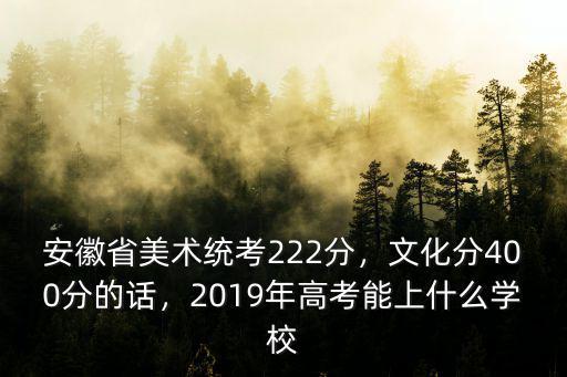 安徽省美術統考222分，文化分400分的話，2019年高考能上什么學校