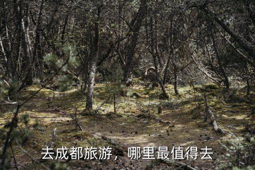 5.1去成都哪里玩最合適,去成都玩幾天