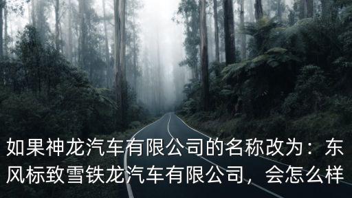 如果神龍汽車有限公司的名稱改為：東風標致雪鐵龍汽車有限公司，會怎么樣