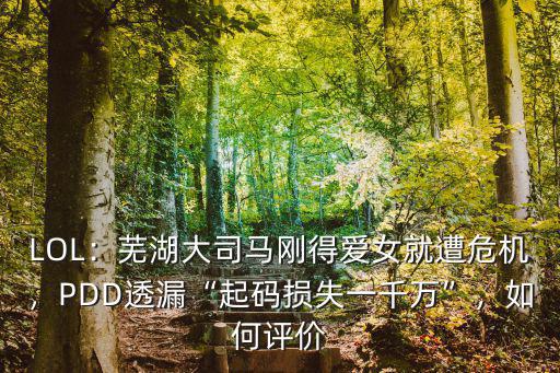 LOL：蕪湖大司馬剛得愛女就遭危機，PDD透漏“起碼損失一千萬”，如何評價