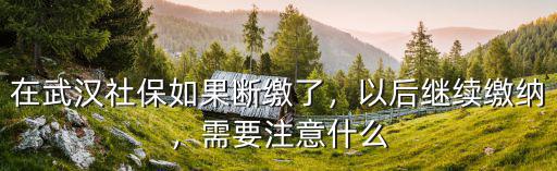 在武漢社保如果斷繳了，以后繼續(xù)繳納，需要注意什么