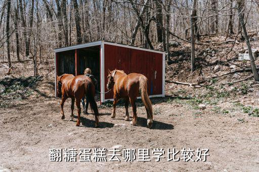 成都哪里翻糖做的好,翻糖蛋糕去哪里學比較好