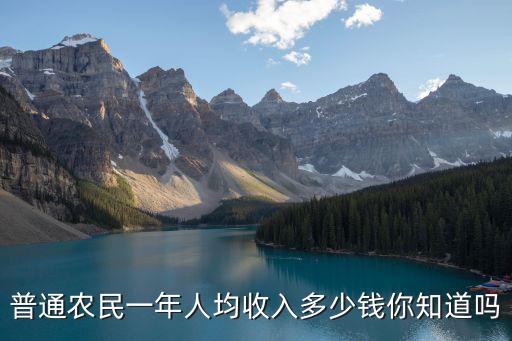 普通農民一年人均收入多少錢你知道嗎
