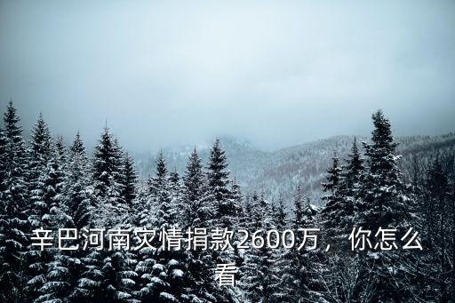 辛巴河南災情捐款2600萬，你怎么看