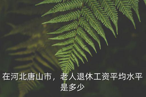 在河北唐山市，老人退休工資平均水平是多少
