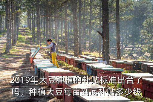 2019年大豆種植的補(bǔ)貼標(biāo)準(zhǔn)出臺了嗎，種植大豆每畝到底補(bǔ)貼多少錢