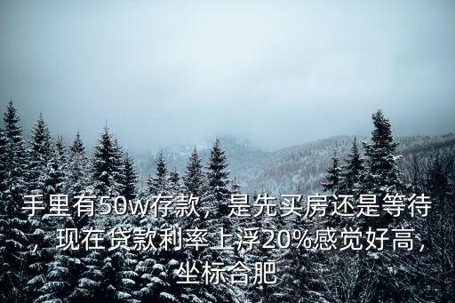 手里有50w存款，是先買房還是等待，現在貸款利率上浮20%感覺好高，坐標合肥