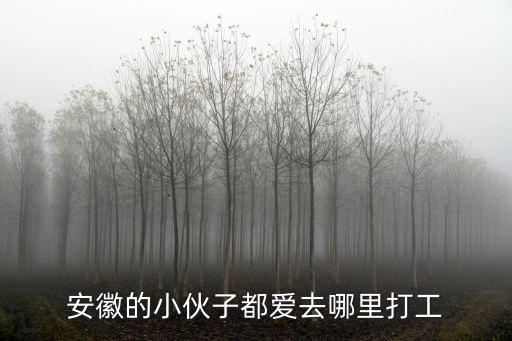 安徽的小伙子都愛去哪里打工