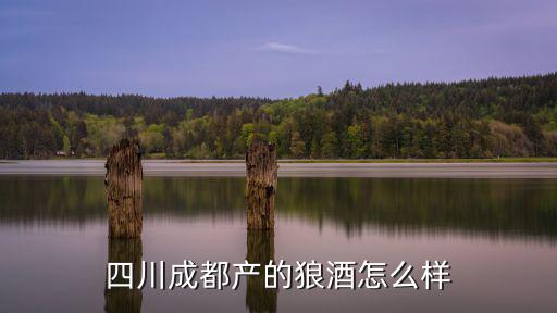 四川成都產(chǎn)的狼酒怎么樣