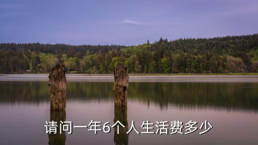 請問一年6個人生活費多少