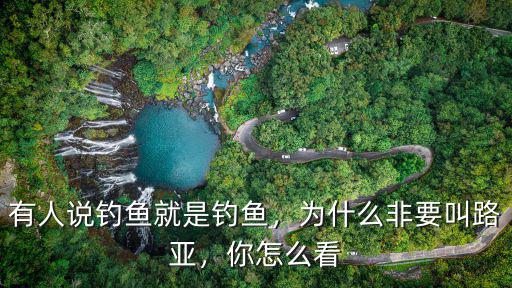 有人說(shuō)釣魚(yú)就是釣魚(yú)，為什么非要叫路亞，你怎么看