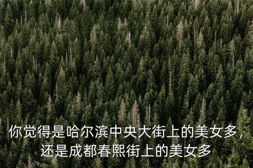 你覺得是哈爾濱中央大街上的美女多，還是成都春熙街上的美女多