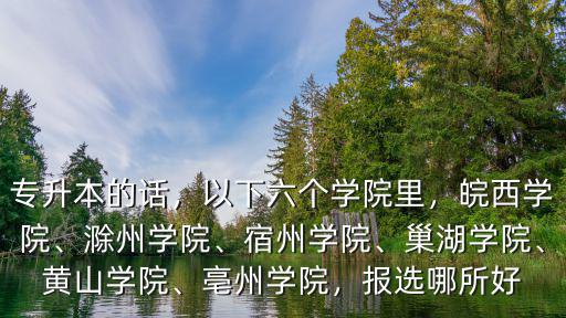專升本的話，以下六個學院里，皖西學院、滁州學院、宿州學院、巢湖學院、黃山學院、亳州學院，報選哪所好