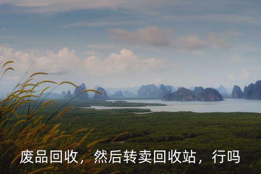 廢品回收，然后轉(zhuǎn)賣(mài)回收站，行嗎