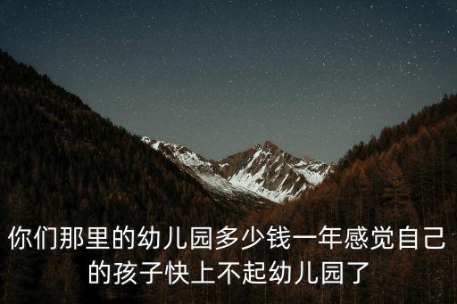 河北普通幼兒園的學(xué)費(fèi)多少,你們那里的幼兒園多少錢一年
