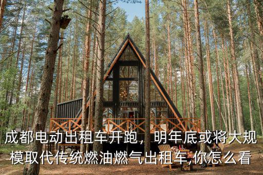 成都電動出租車開跑，明年底或?qū)⒋笠?guī)模取代傳統(tǒng)燃油燃氣出租車,你怎么看