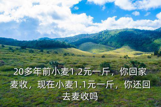 20多年前小麥1.2元一斤，你回家麥收，現在小麥1.1元一斤，你還回去麥收嗎