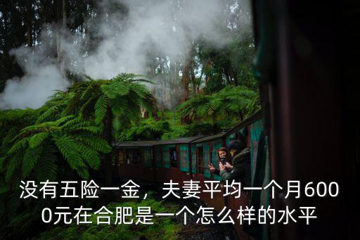 沒有五險(xiǎn)一金，夫妻平均一個(gè)月6000元在合肥是一個(gè)怎么樣的水平
