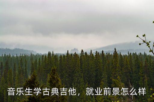 綿陽哪里有學古典吉他的,音樂生學古典吉他