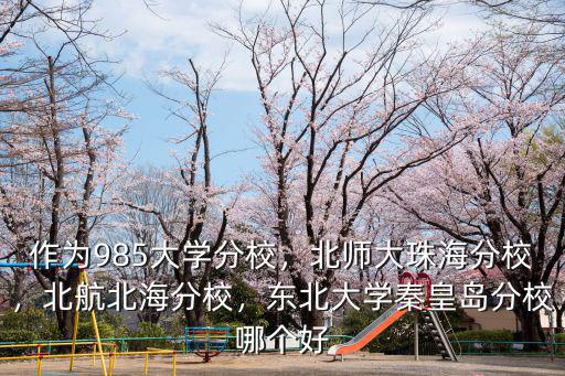 作為985大學分校，北師大珠海分校，北航北海分校，東北大學秦皇島分校哪個好