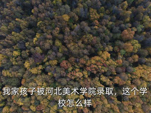 我家孩子被河北美術學院錄取，這個學校怎么樣