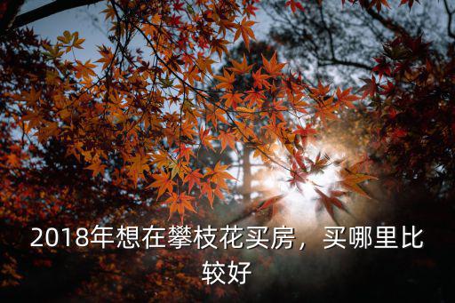 攀枝花哪里有房子,有沒有人要買攀枝花的房子呀