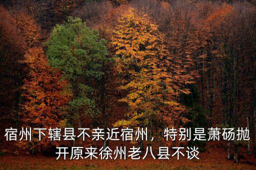 徐州城區(qū)比宿州大多少,宿州和徐州有多近