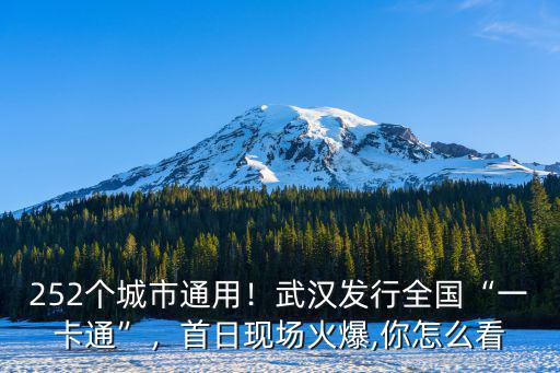 武漢通行軟件怎么查,武漢發(fā)行全國一卡通