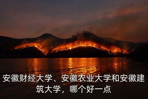 安徽財(cái)經(jīng)大學(xué)、安徽農(nóng)業(yè)大學(xué)和安徽建筑大學(xué)，哪個(gè)好一點(diǎn)