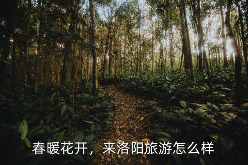 春暖花開，來洛陽旅游怎么樣