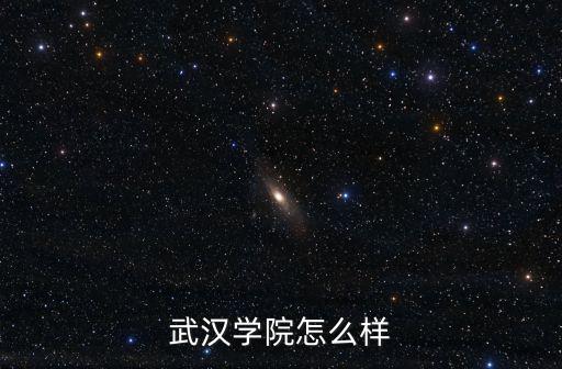 武漢學(xué)院怎么樣