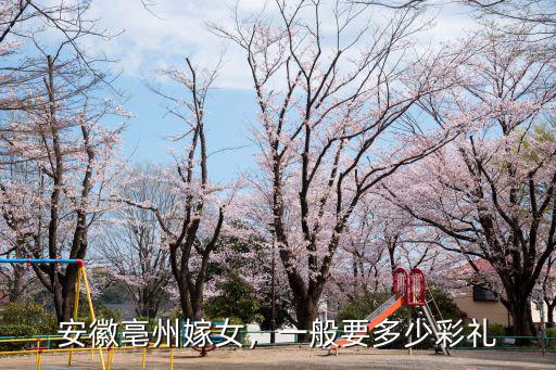 安徽全椒彩禮多少錢,一般要多少彩禮