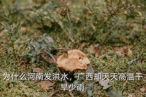 為什么河南發洪水，廣西卻天天高溫干旱少雨