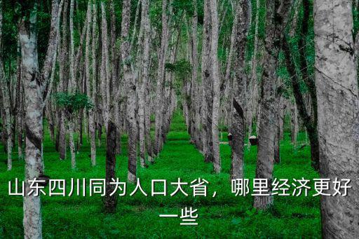 山東四川同為人口大省，哪里經(jīng)濟(jì)更好一些