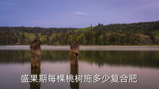 盛果期每棵桃樹施多少復合肥