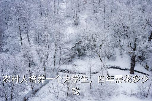 農村人培養一個大學生，四年需花多少錢
