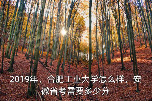 合肥工業(yè)大學(xué)有多少處級干部,合肥工業(yè)大學(xué)怎么樣