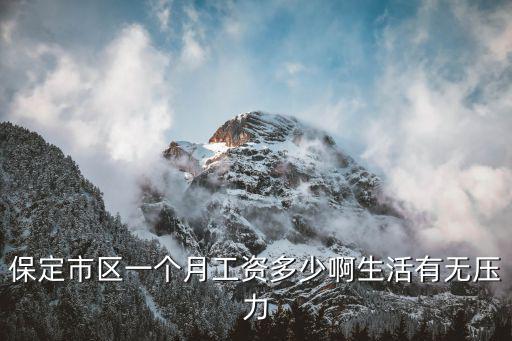 河北保定的工資上調(diào)多少,河北養(yǎng)老金上調(diào)多少
