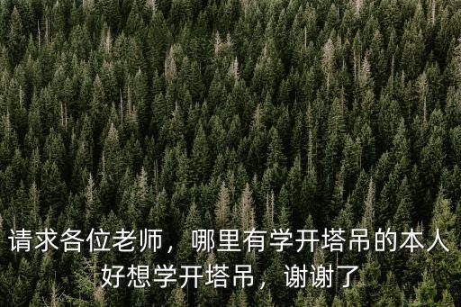請求各位老師，哪里有學開塔吊的本人好想學開塔吊，謝謝了