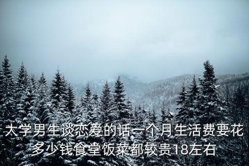 大學男生談戀愛的話一個月生活費要花多少錢食堂飯菜都較貴18左右