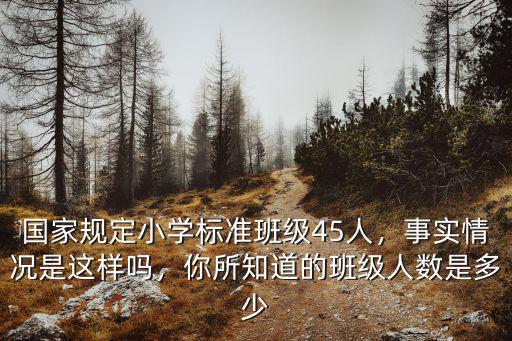 國(guó)家規(guī)定小學(xué)標(biāo)準(zhǔn)班級(jí)45人，事實(shí)情況是這樣嗎，你所知道的班級(jí)人數(shù)是多少
