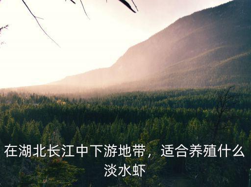 在湖北洪湖沙口養蝦怎么樣,在湖北長江中下游地帶